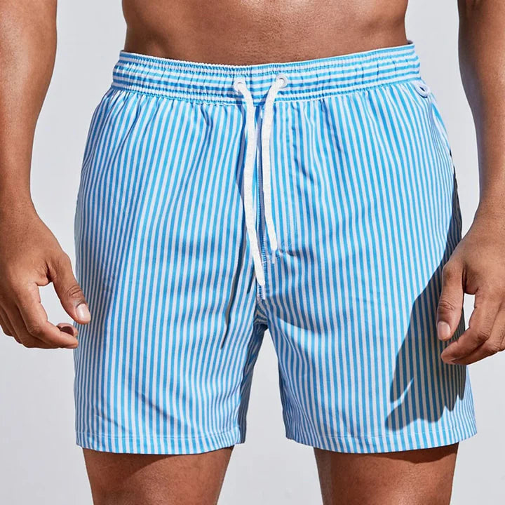 Striped Quick-Dry Swim Shorts