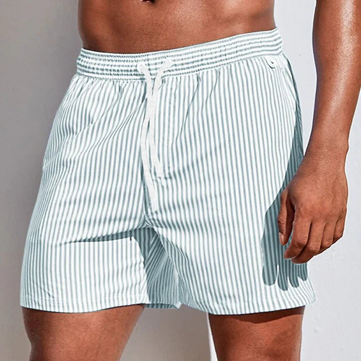 Striped Quick-Dry Swim Shorts